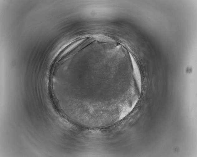 X0000093740194200711131110