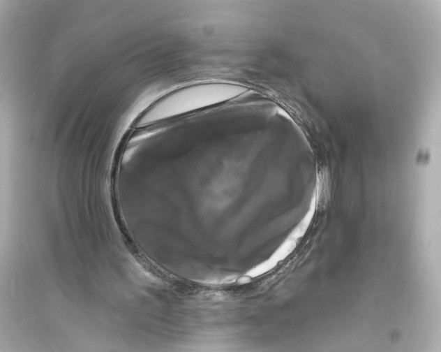 X0000093740195200711131110