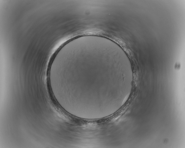 X0000093740196200711131110