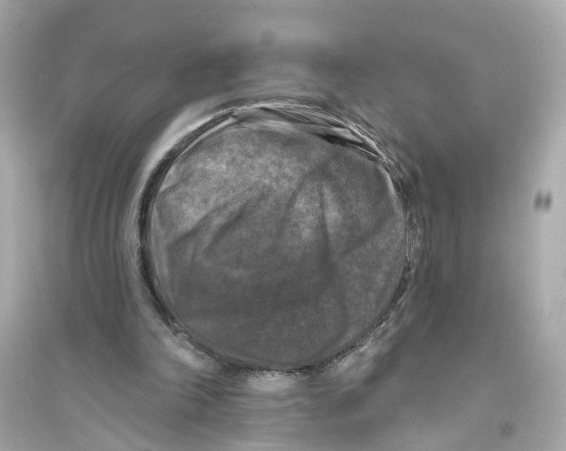 X0000093740198200711131110