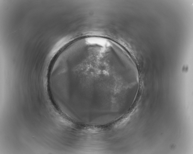 X0000093740199200711131109