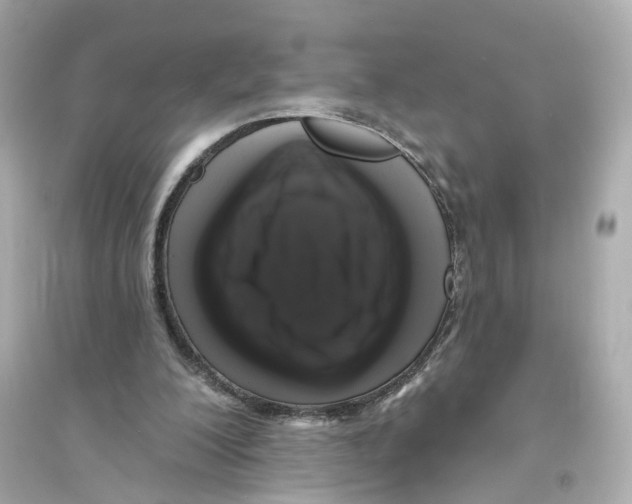 X0000093740200200711131109