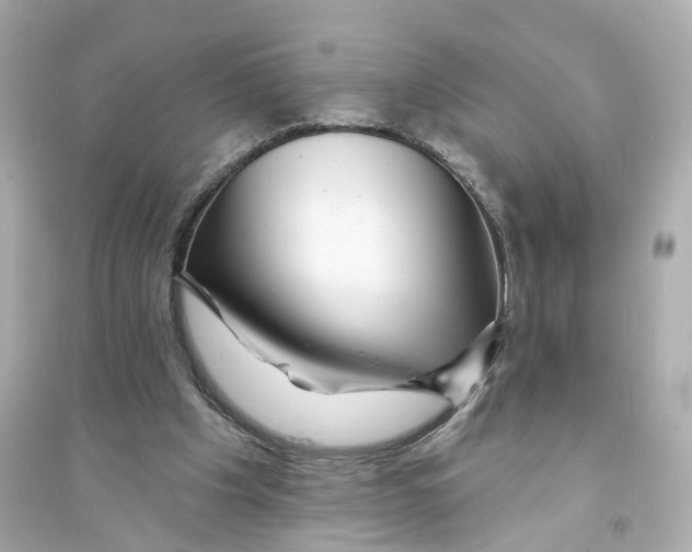 X0000093740201200711131109