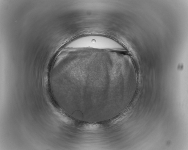 X0000093740202200711131109