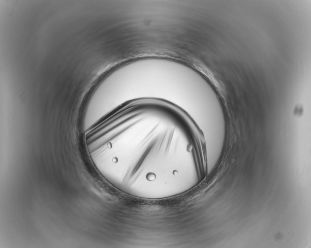 X0000093740203200711131109
