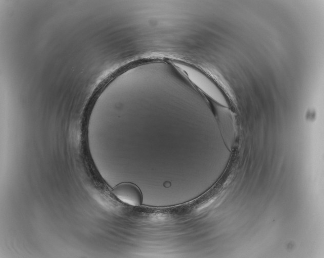 X0000093740204200711131109