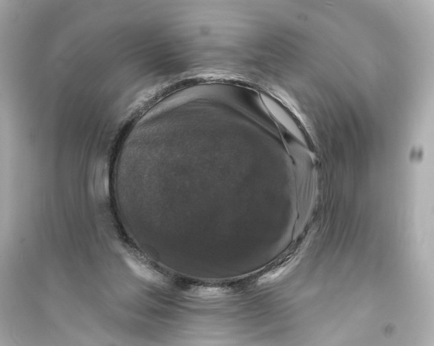 X0000093740205200711131109