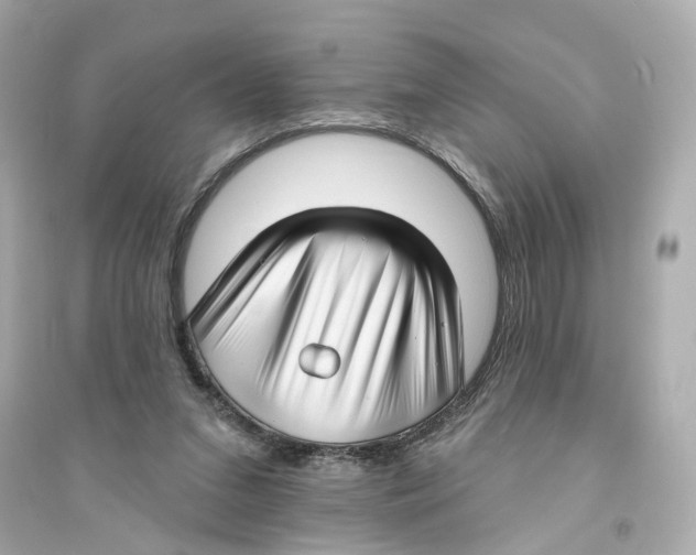 X0000093740207200711131109