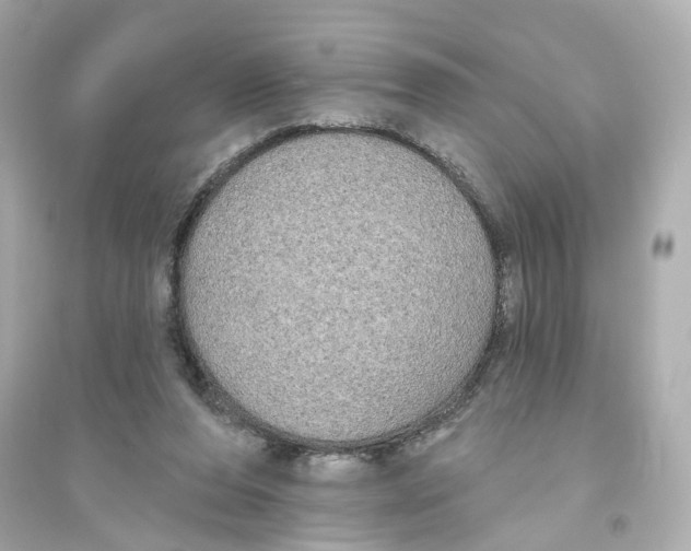 X0000093740208200711131109