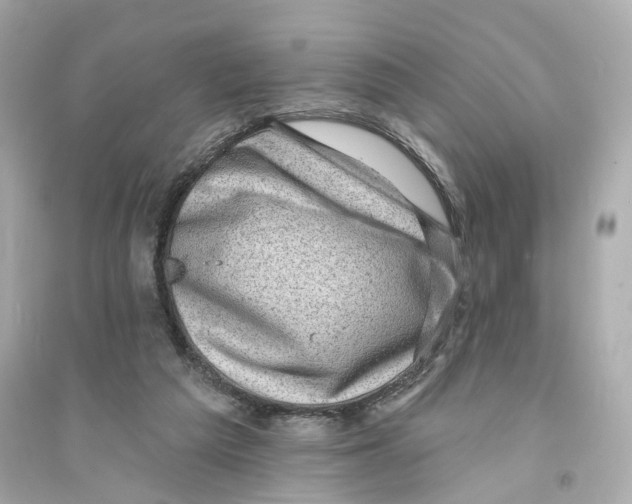 X0000093740209200711131109