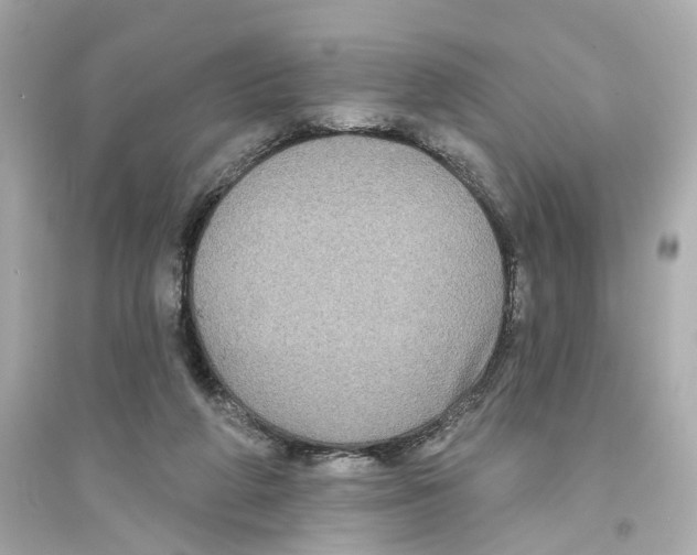 X0000093740210200711131109