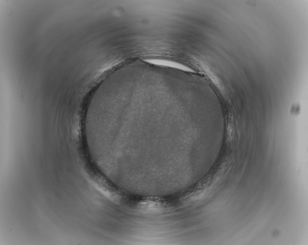 X0000093740211200711131109