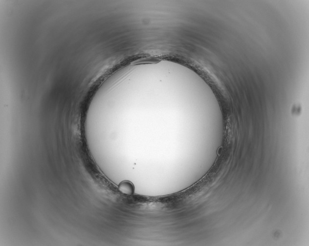 X0000093740212200711131109