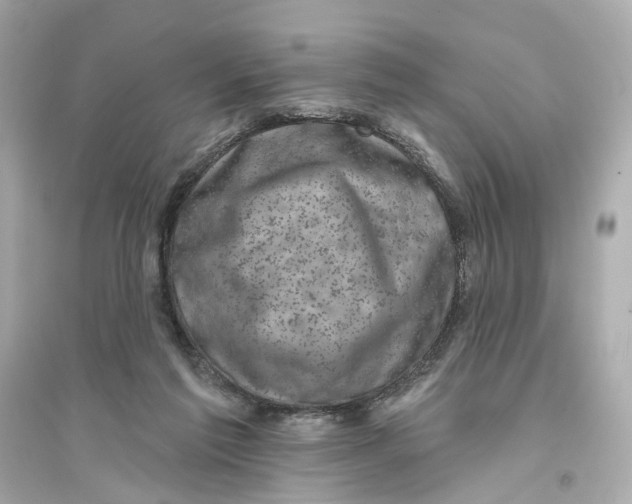 X0000093740213200711131109
