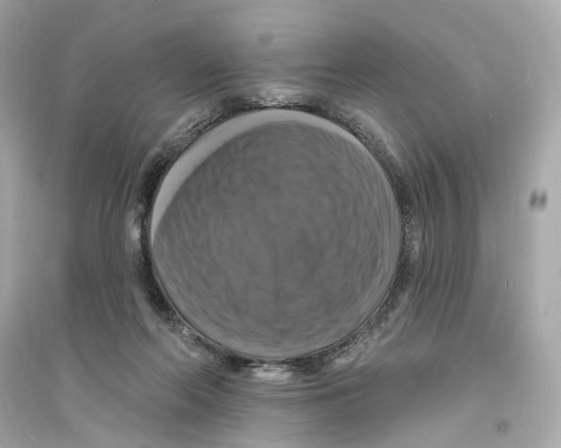 X0000093740214200711131109