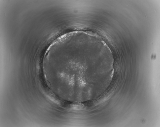 X0000093740215200711131109