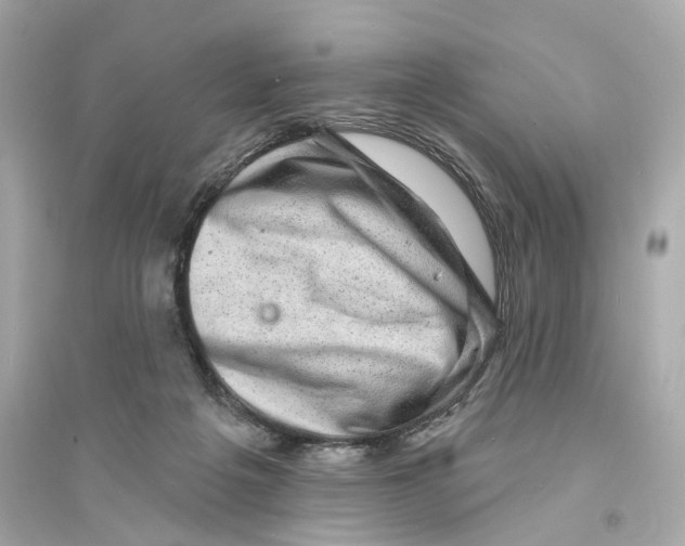 X0000093740217200711131109