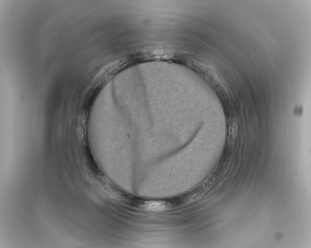 X0000093740218200711131109