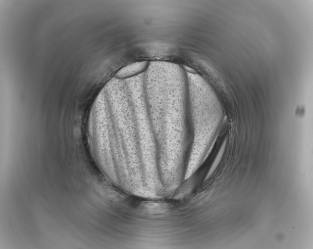 X0000093740221200711131109
