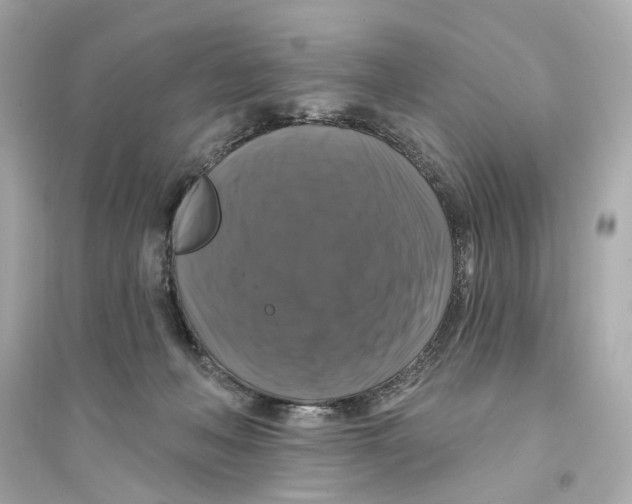 X0000093740222200711131109