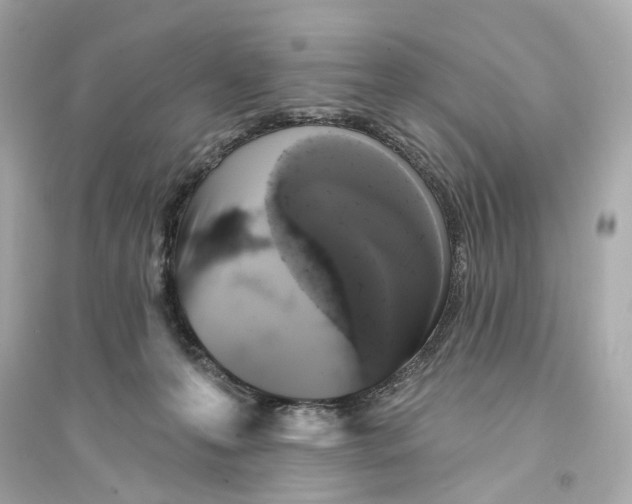 X0000093740223200711131109