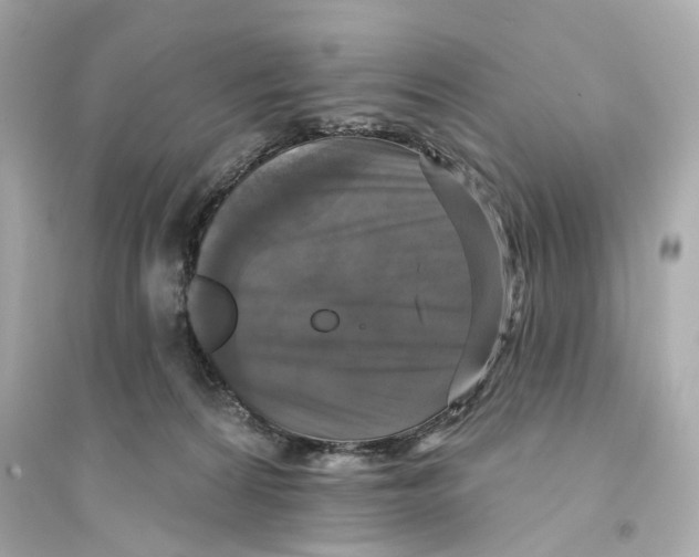 X0000093740224200711131109