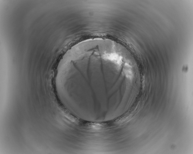 X0000093740229200711131109