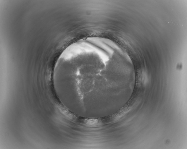 X0000093740230200711131109