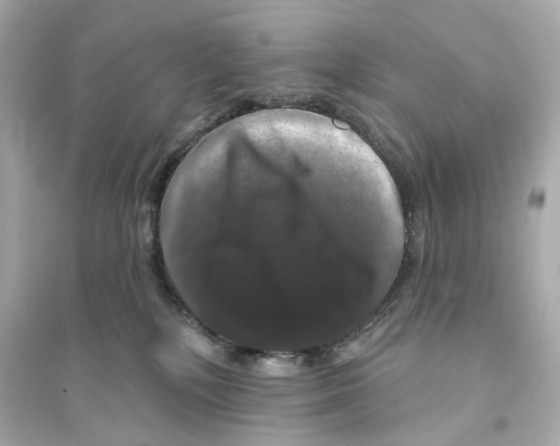 X0000093740232200711131109