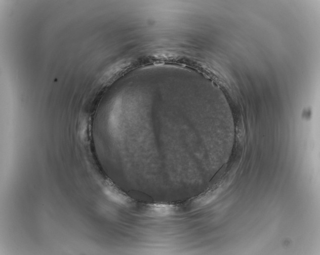 X0000093740233200711131109