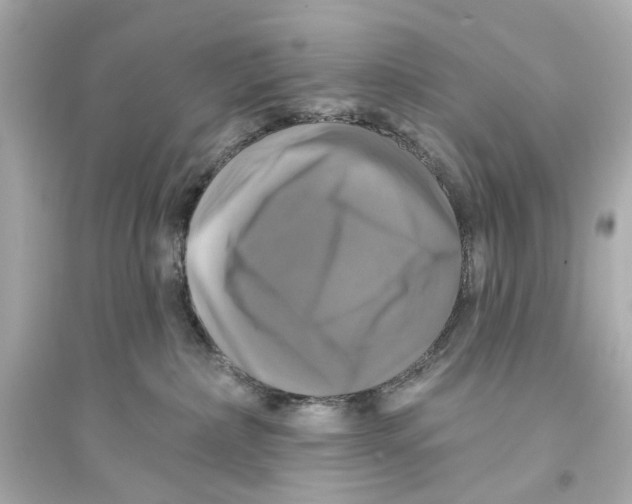 X0000093740236200711131109