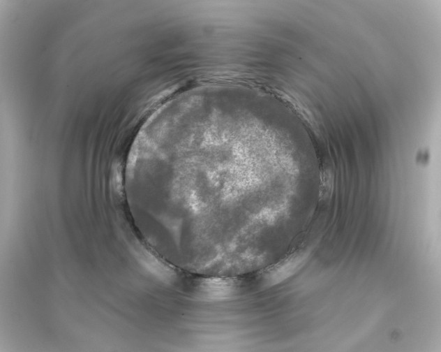 X0000093740238200711131109