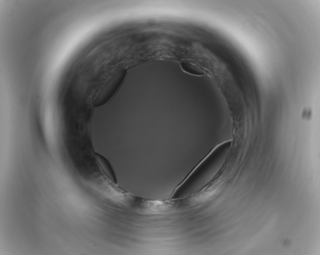 X0000093740239200711131109