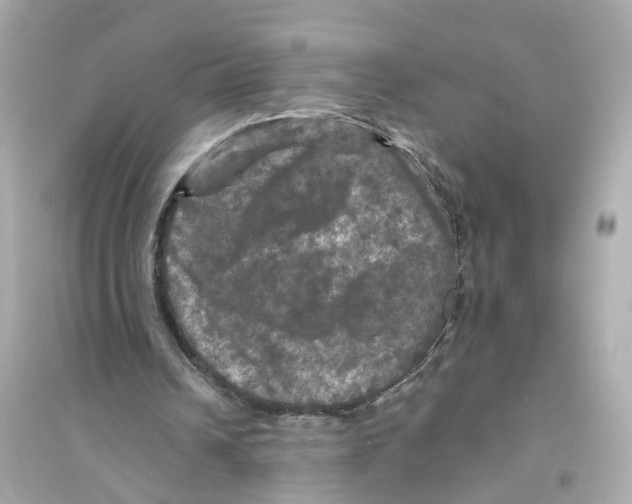 X0000093740242200711131108
