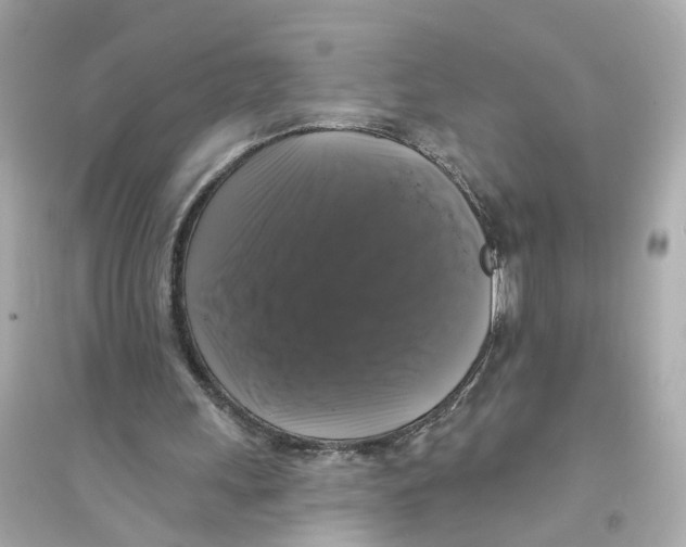 X0000093740243200711131108