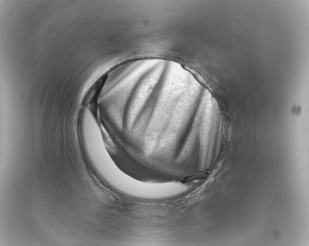 X0000093740244200711131108