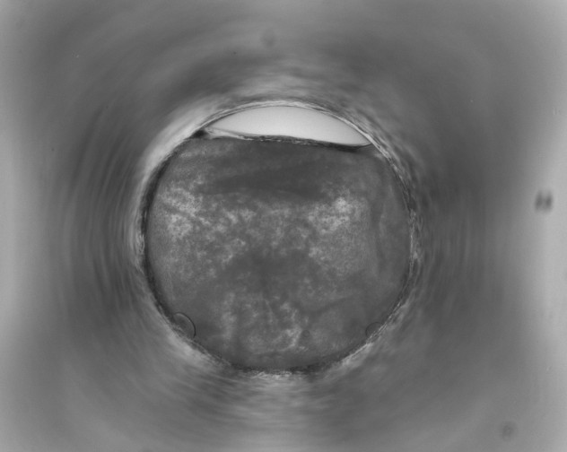 X0000093740245200711131108