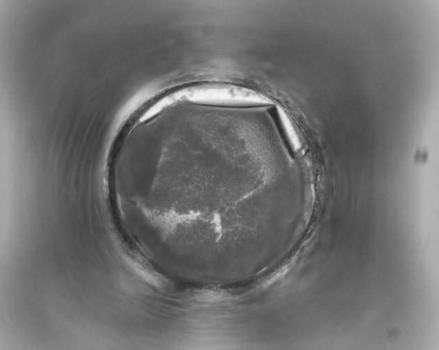 X0000093740246200711131108