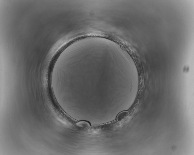 X0000093740247200711131108