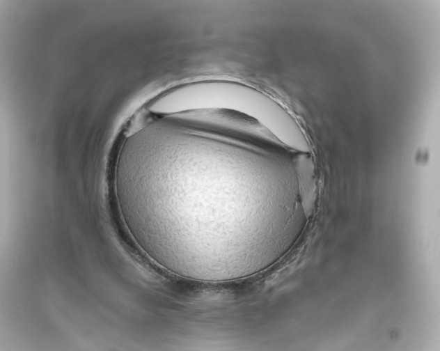 X0000093740248200711131108