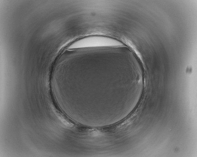 X0000093740249200711131108