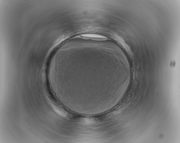 X0000093740250200711131108