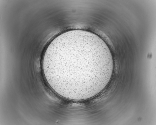 X0000093740251200711131108