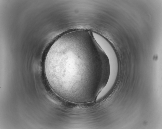 X0000093740252200711131108