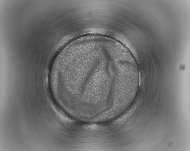 X0000093740253200711131108