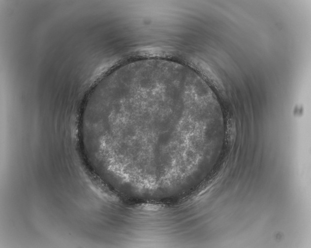 X0000093740255200711131108