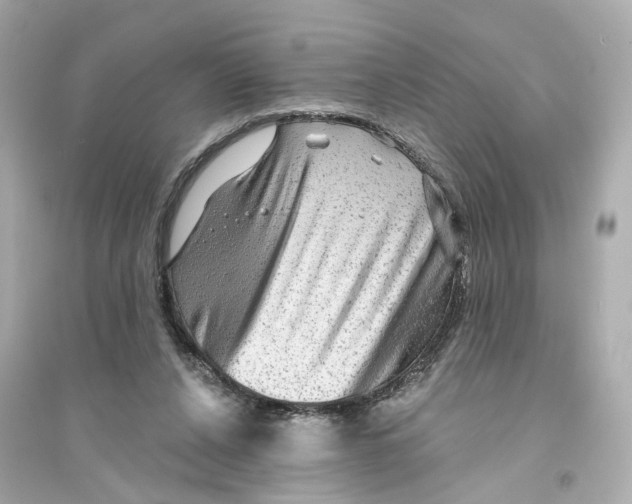 X0000093740256200711131108