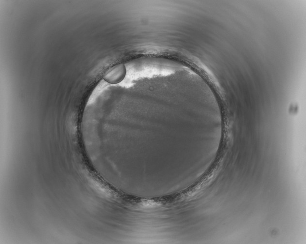 X0000093740257200711131108