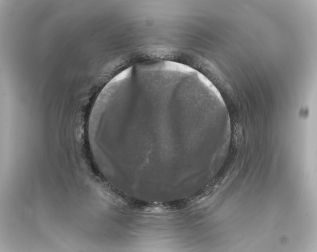 X0000093740259200711131108