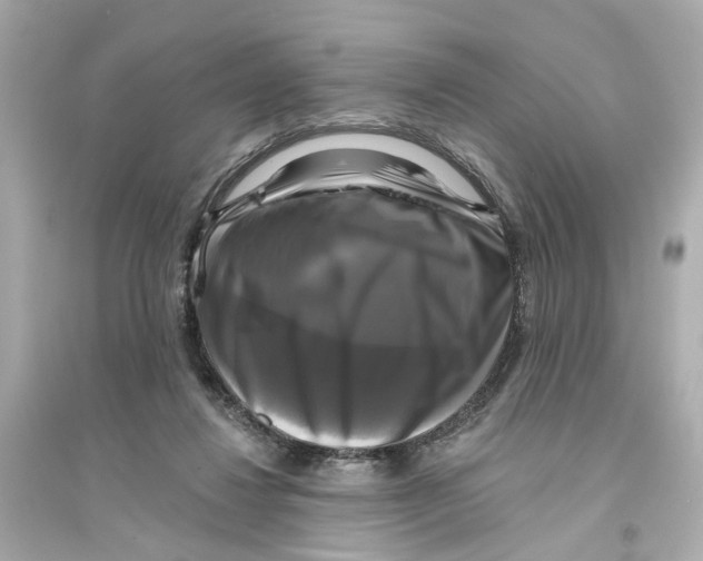 X0000093740260200711131108